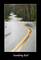 Jens Jensen Curvey Road