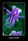 Columbine