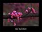 Red Bud