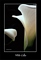 White Calla