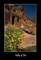 Valley of Fire Nevada