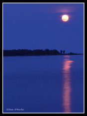 Moonrise at the Ridges 0823